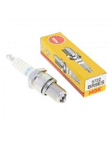 Spark Plugs ngk br9es